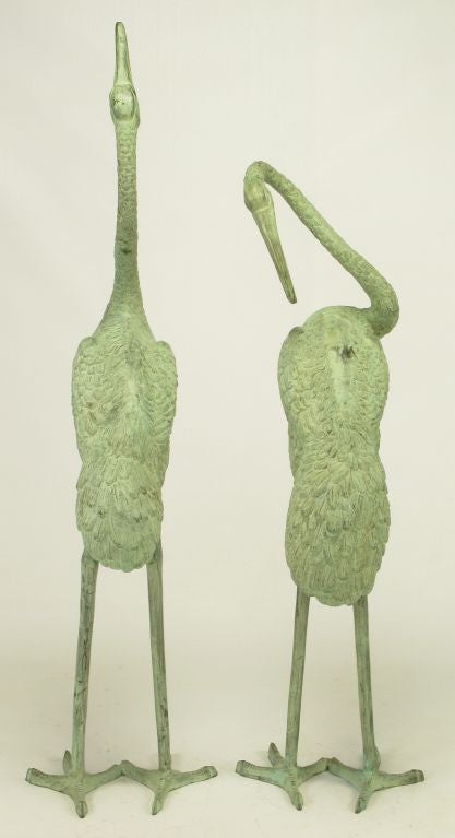 Mid-20th Century Pair 66