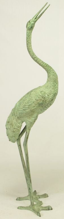 Pair 66
