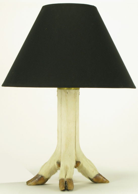 Deer Hoof Taxidermy Four Legged Table Lamp