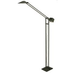 Black Lacquered Cast Iron & Steel Articulated Floor Lamp