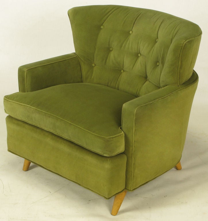 Unique stepped and curved back lounge chair in original olive cotton velvet. Button tufted slightly winged back with loose seat cushion. Maple legs are slanted to the front and back.