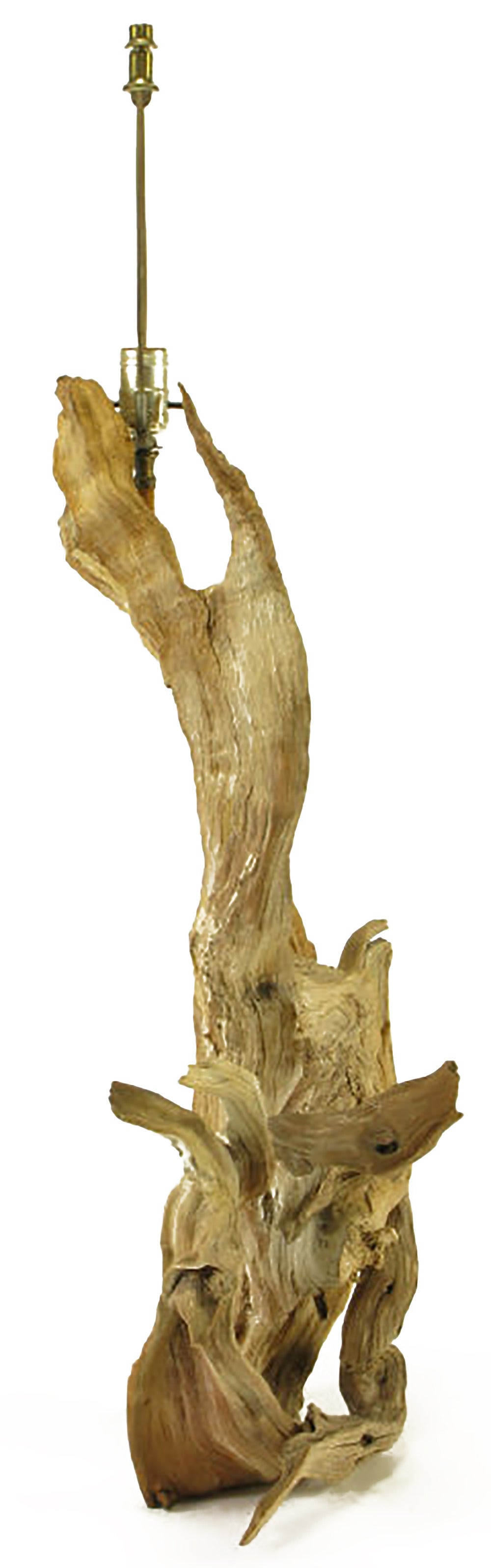 American Naturally Sculpted Driftwood Table Lamp