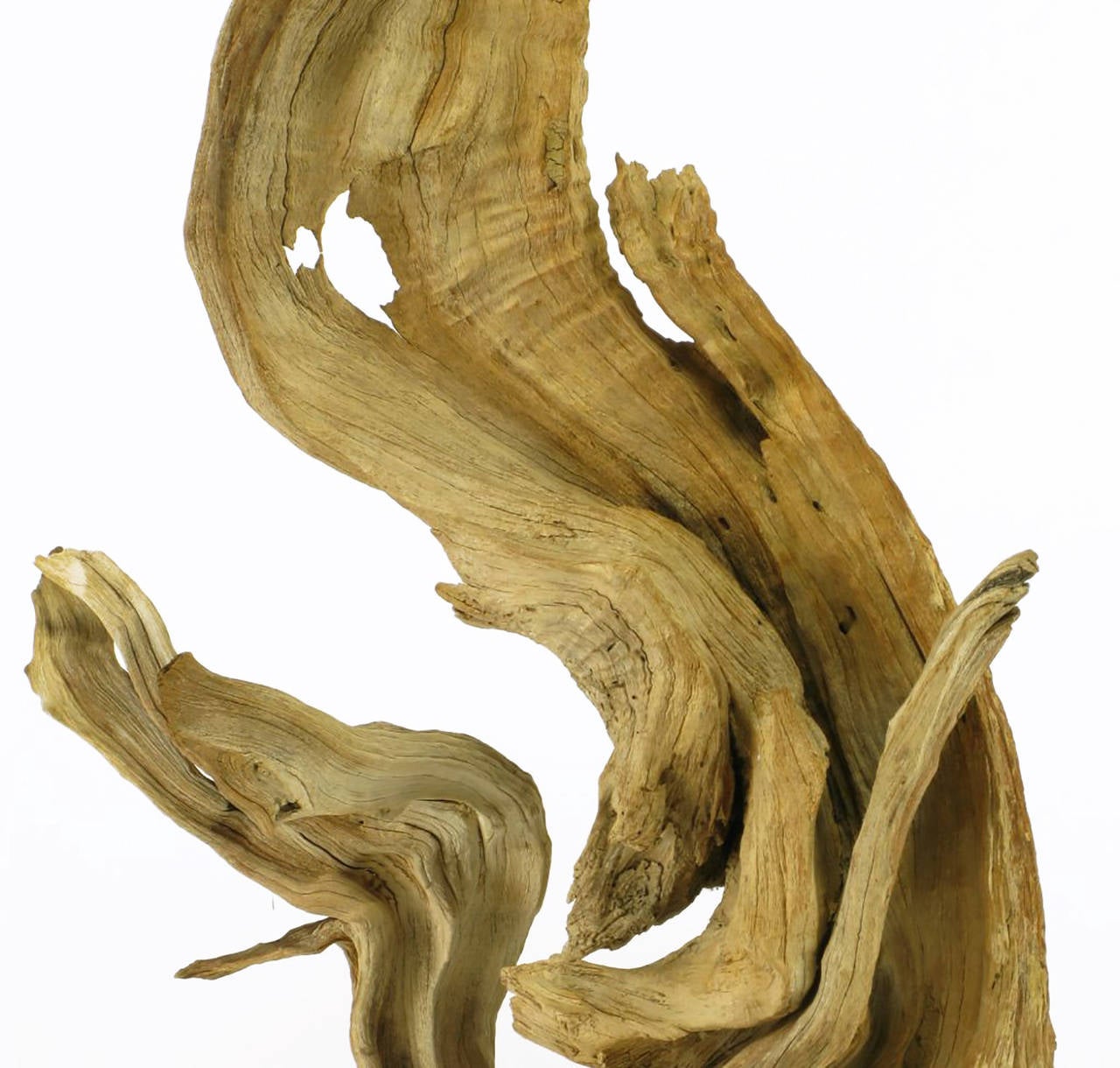Naturally Sculpted Driftwood Table Lamp 1