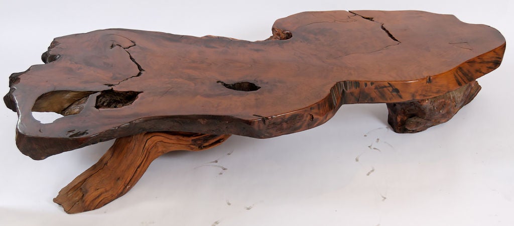 Over seven feet long, sculptural and monumental, this incredible California modern redwood burl table is supported by tree root bases. Extremely thick top.
