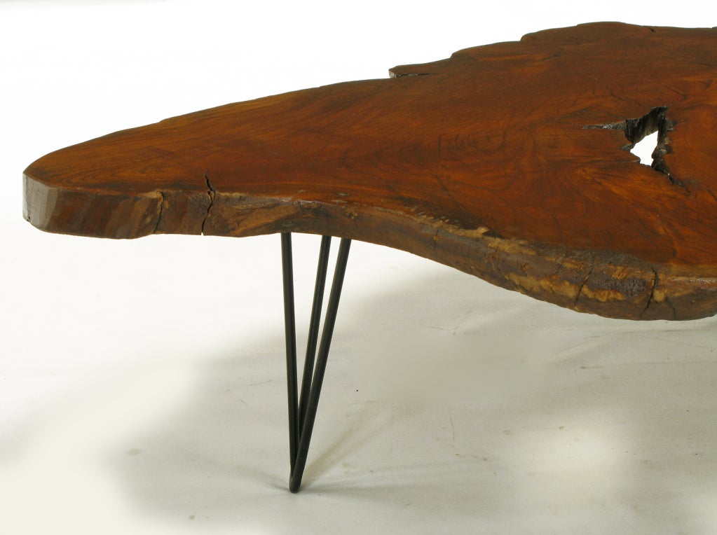 Live Edge Red Wood Burl Coffee Table With Hair Pin Legs 1