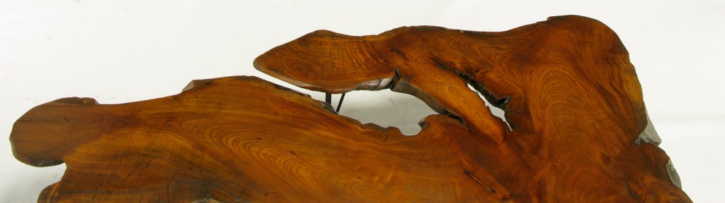 Live Edge Red Wood Burl Coffee Table With Hair Pin Legs 4
