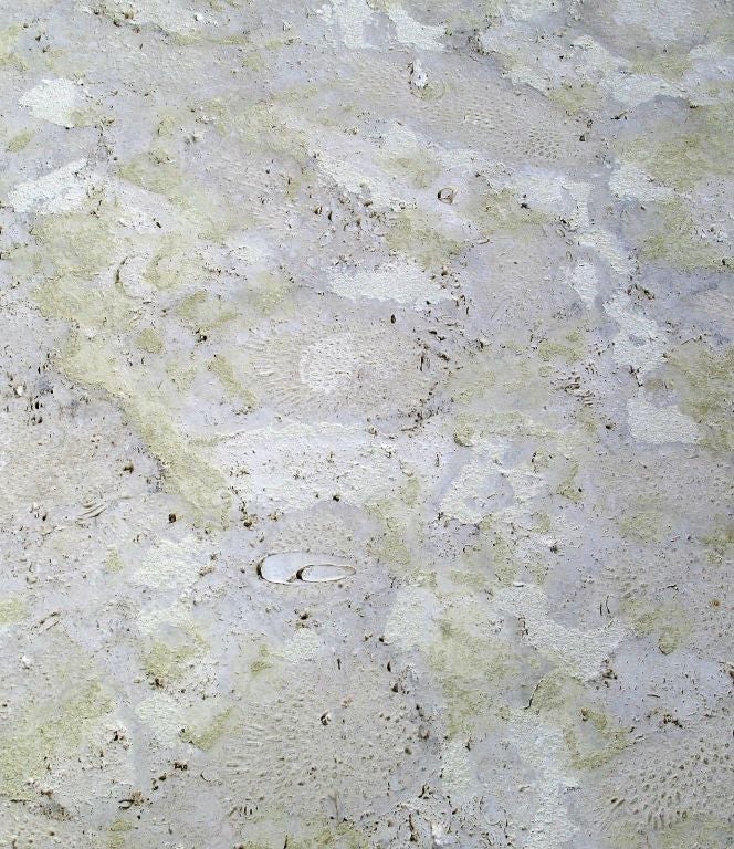 Solid Fossil Stone Coffee Table In The Manner Of Michael Taylor 3