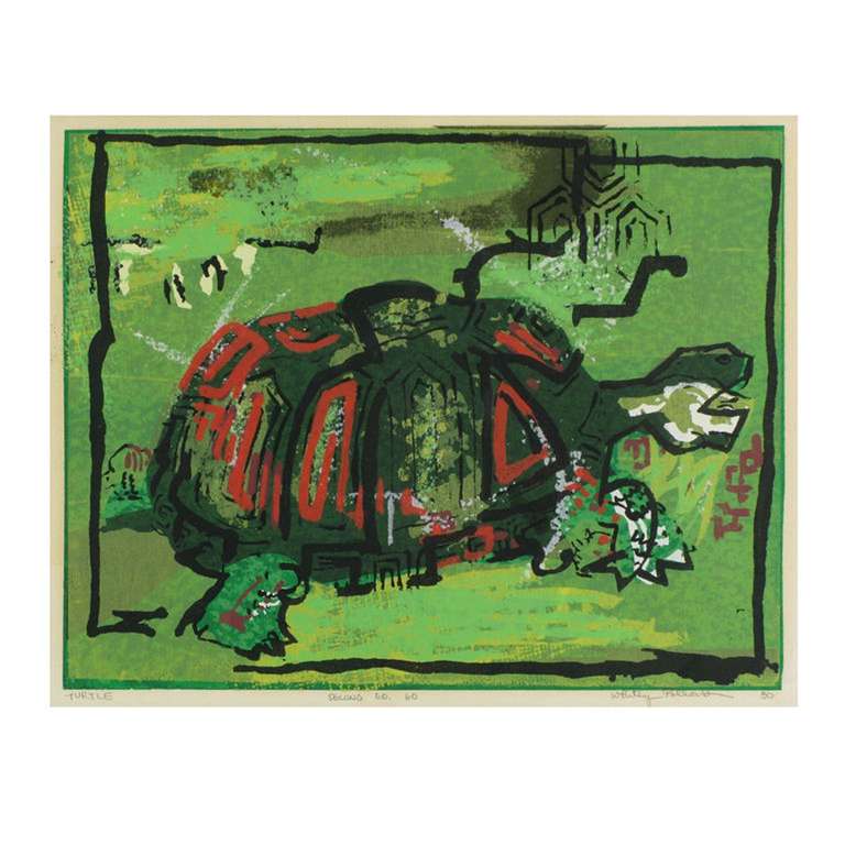 Colorful block print of a red and green shelled turtle on a green background. Titled 
