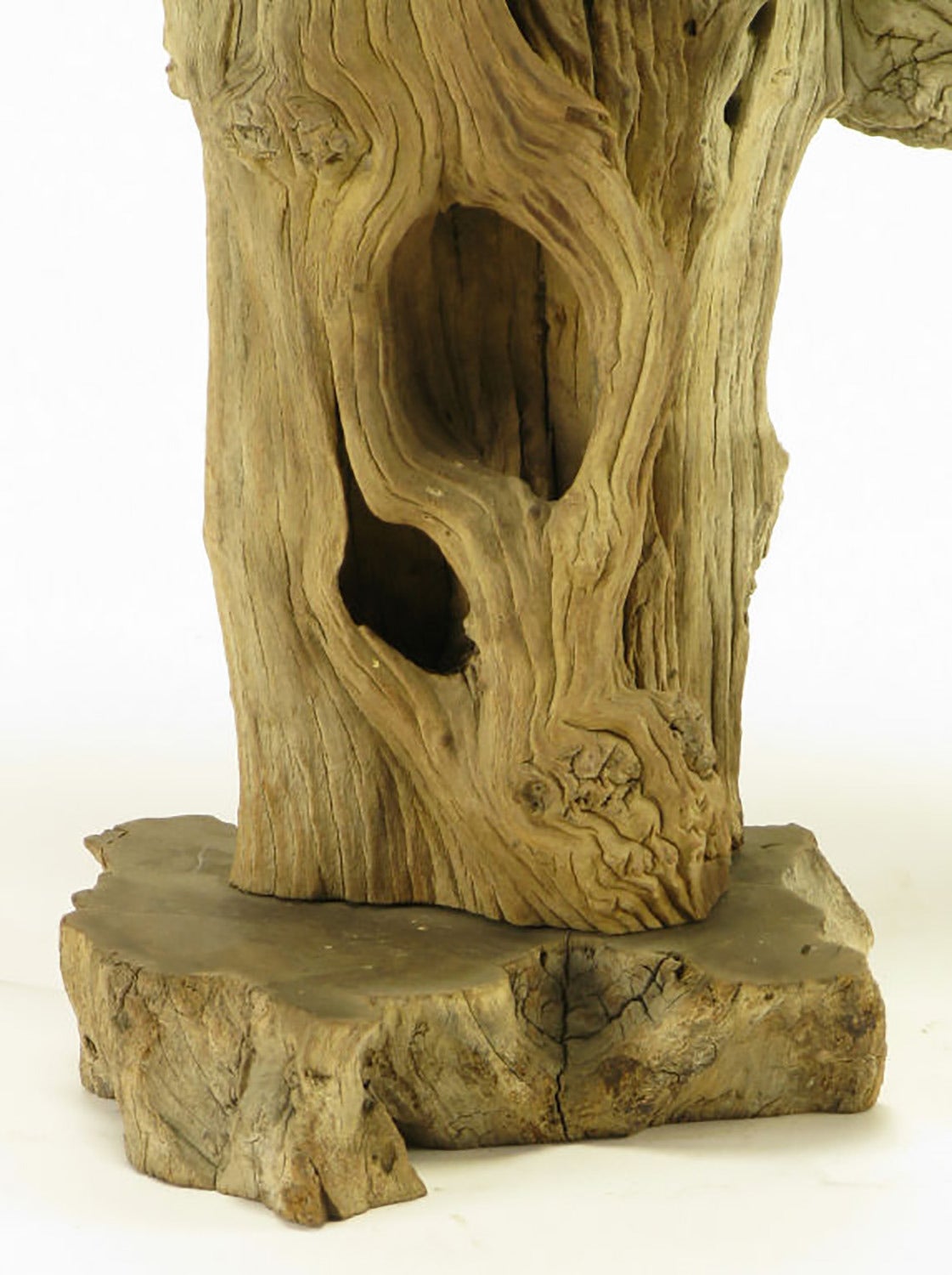 Laiton Lampe de table en bois flotté avec base en bois vivant en vente