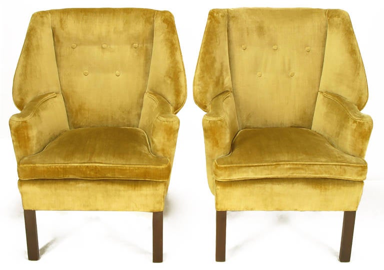 Uncommon pair of golden velvet wingback chairs. Georgian style wings with modern square dowel mahogany front legs and long raked saber mahogany back legs. Down filled seat cushion and buttoned back. Unusual front roll to the curvaceous arms. Eye