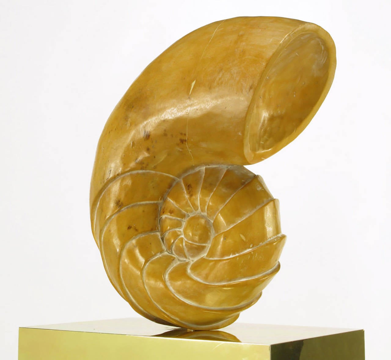 Carved Wood Ammonite Shell Sculpture on Brass Pedestal For Sale 3