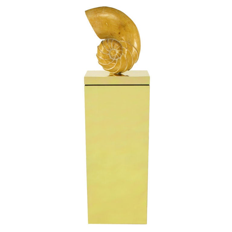 Scultura in legno intagliato con conchiglia di ammonite su piedistallo in ottone In condizioni buone in vendita a Chicago, IL