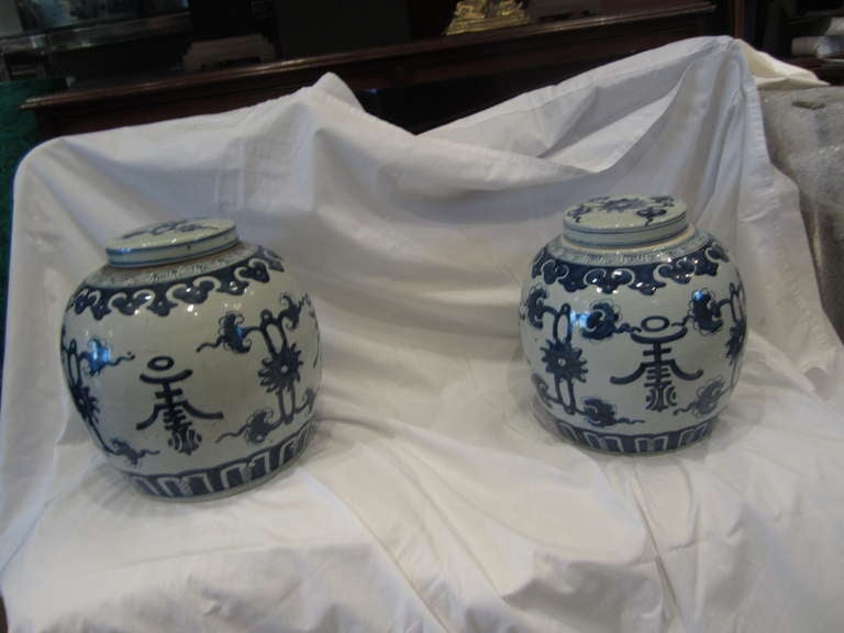 Wonderful pair of Chinese blue and white ceramic jar with lids.