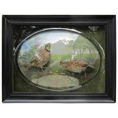 Framed Diorama with Birds