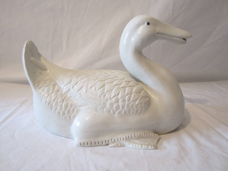 Life like white ceramic duck.