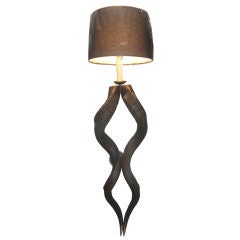 Kudo Horn Wall Sconce