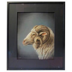 Rams Head Pastel Drawing by Susan Catherine Moore Waters