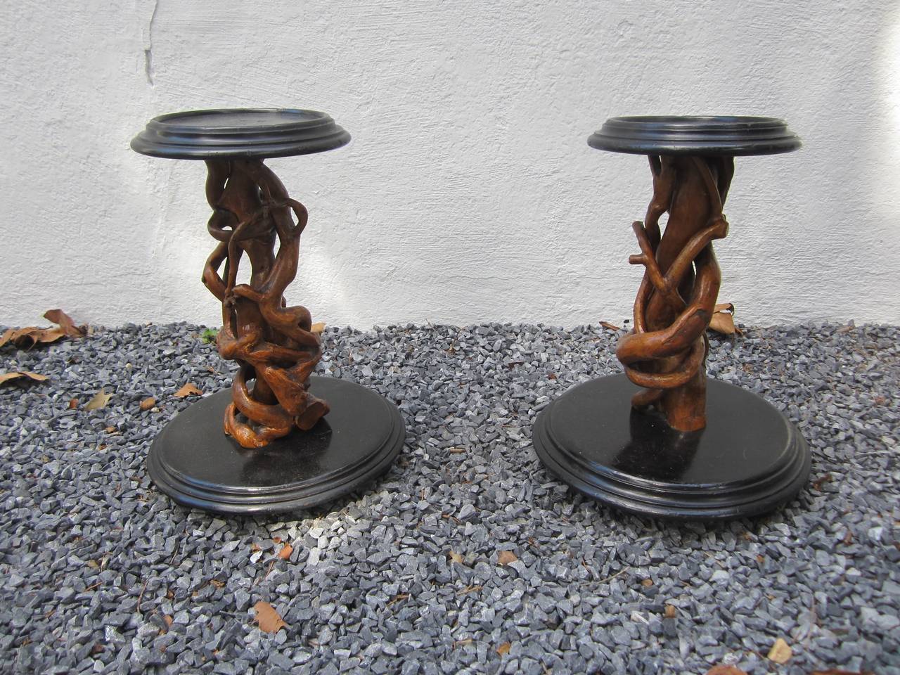 Pair of wood stands with rootwood columns black painted bases and plateaus very interesting pieces.