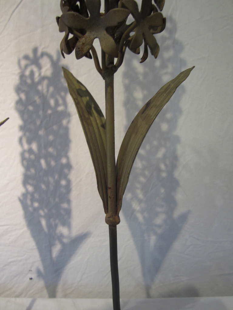 Pair of Painted Metal Hyacinths In Good Condition In East Hampton, NY