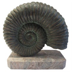Bronze Ammonite on Marble Base 4