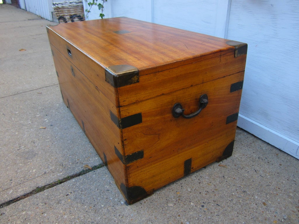 Large Camphor Chest