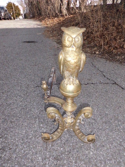 Pair of 19th cent. Owl andirons