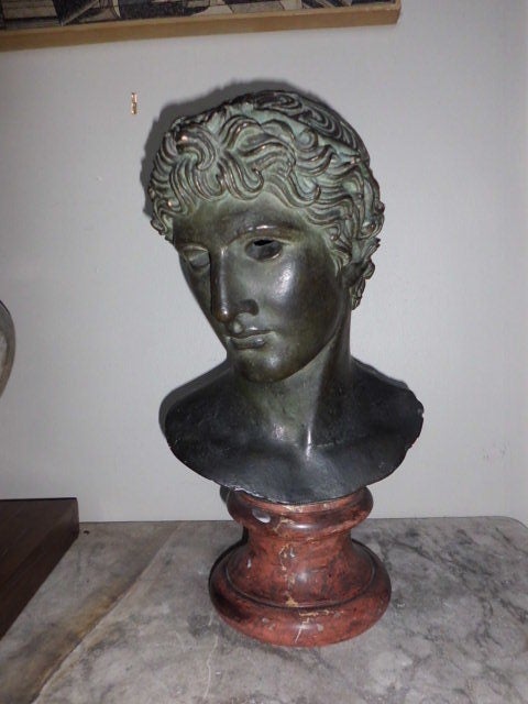 Grand Tour  Bust Of A Young Man