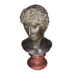 Grand Tour  Bust Of A Young Man