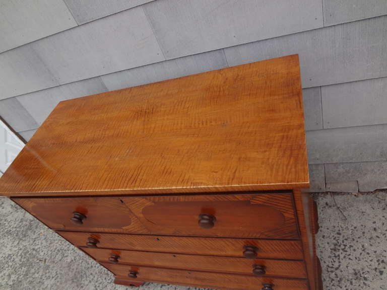 Beautiful Tiger Maple Federal Chest of Drawers In Good Condition In Sleepy Hollow, NY