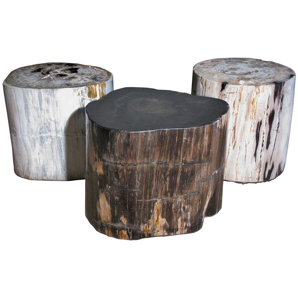 Petrified Wood Stump Tables, Set of 3