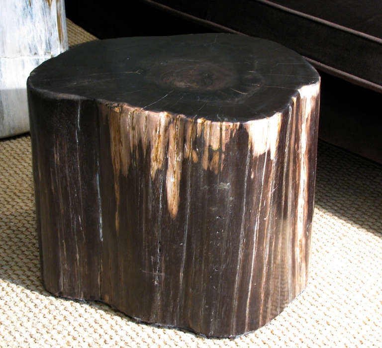 18th Century and Earlier Petrified Wood Stump Tables, Set of 3