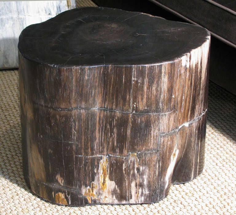 Petrified Wood Stump Tables, Set of 3 1