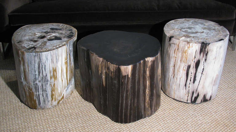 Petrified Wood Stump Tables, Set of 3 5