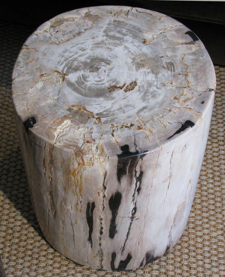 Petrified Wood Stump Tables, Set of 3 In Excellent Condition In Austin, TX