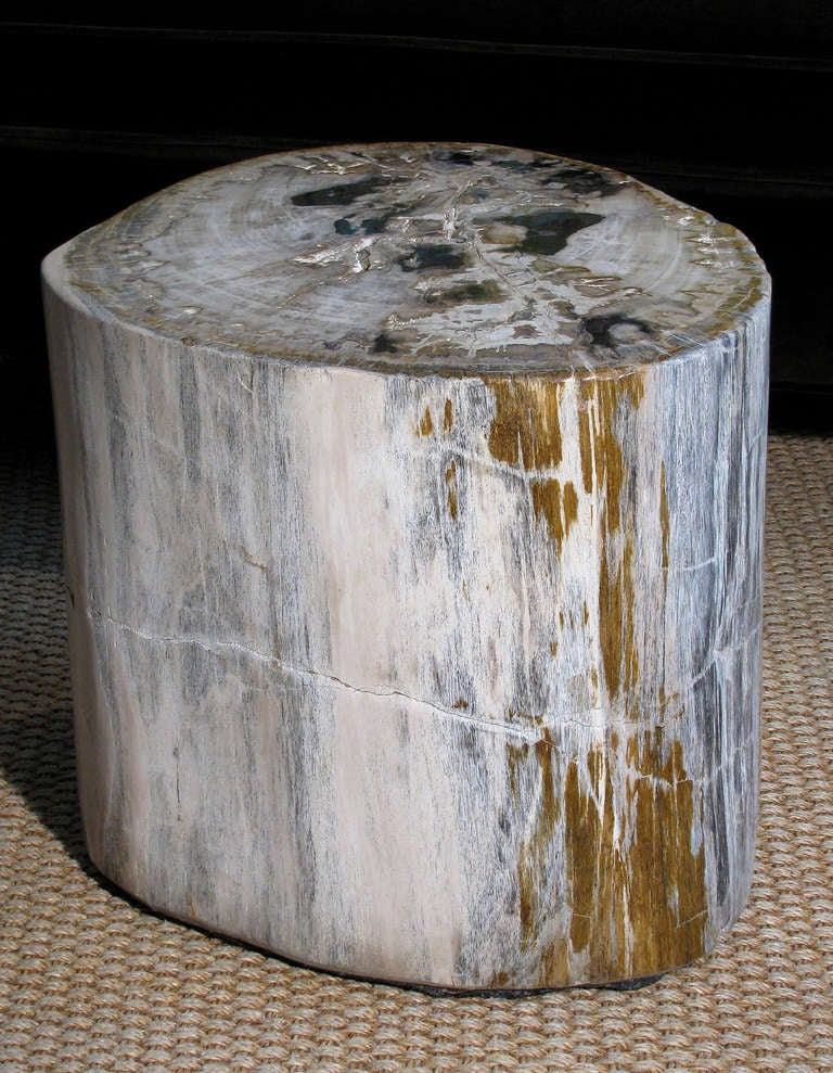 Petrified Wood Stump Tables, Set of 3 2