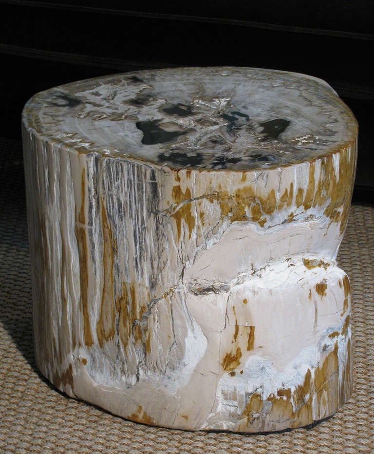 Petrified Wood Stump Tables, Set of 3 4