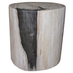 A Petrified Wood Trunk Table