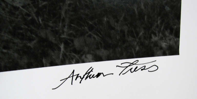 American Arthur Tress 