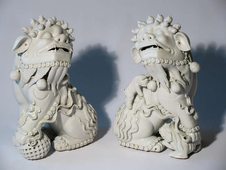 Blanc de Chine Foo Dog Sculptures 4