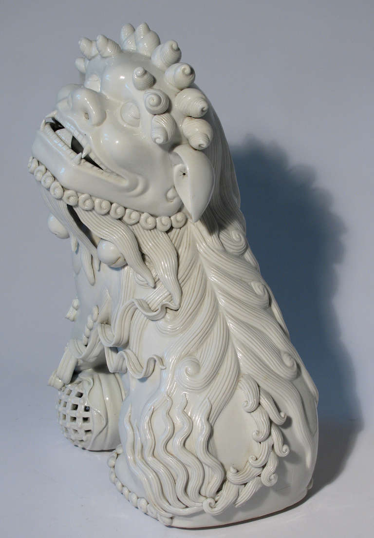 Chinese Blanc de Chine Foo Dog Sculptures