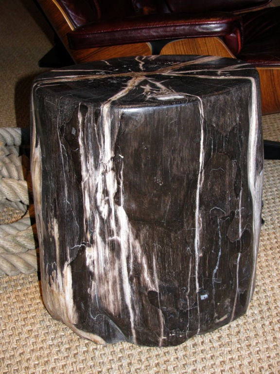 18th Century and Earlier A Petrified Wood Trunk Table