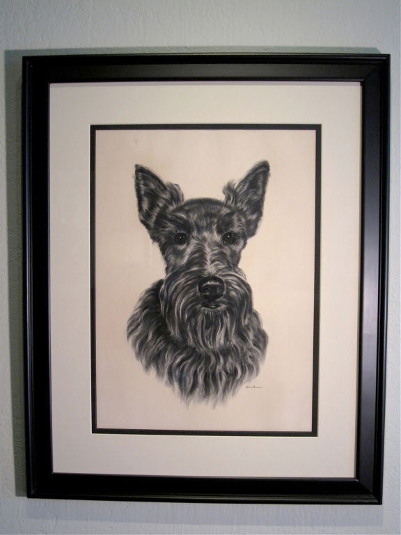 A large scale original guashe portrait painting of a very cute Scottie dog, circa 1950's. Very expressive portrait of black, charcoal and white hair with deep brown eyes that appear to stare right through you. Signed lower right; Enid.<br />
<br
