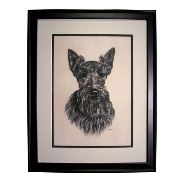 A Framed Scottie Dog Portrait Painting
