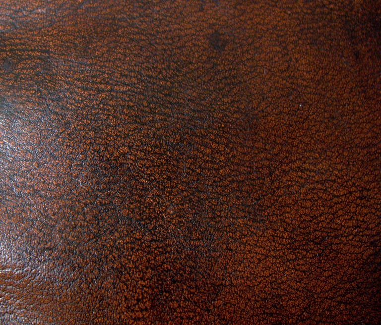 De Sede Leather Ds600 Endless Sofa 1