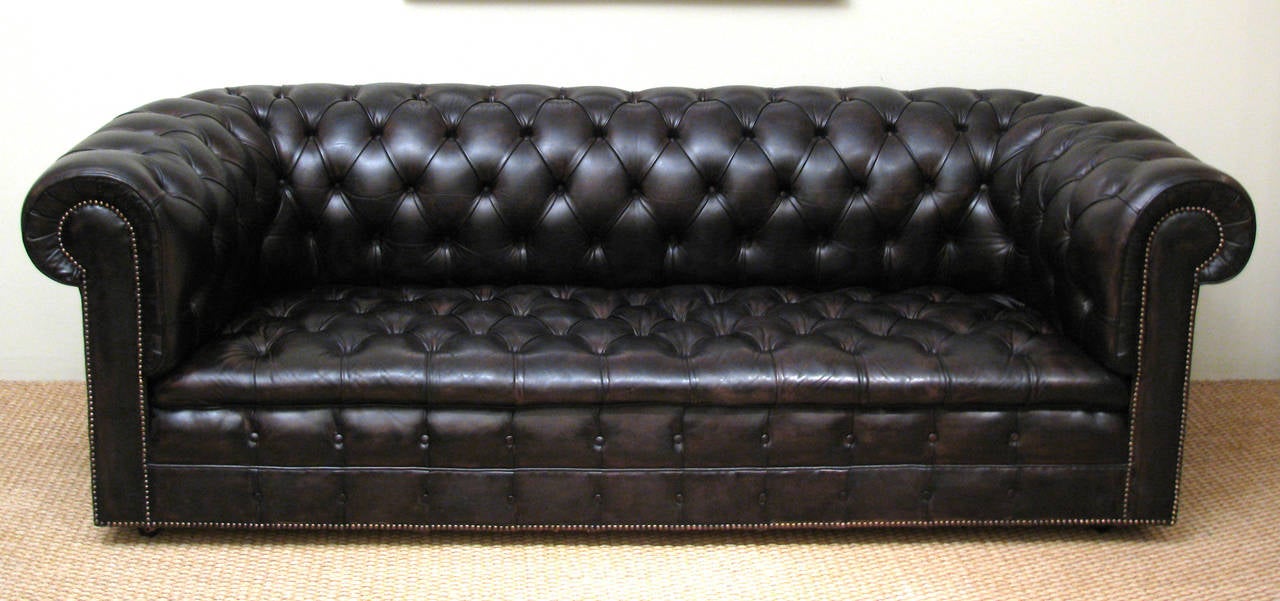 A stunning fully coil sprung early 20th century, full size tufted leather sofa, fully restored; hand dyed dark espresso bean brown, with brass nail trim. This is a very heavy and well made piece of furniture. Caster wheels at base.
