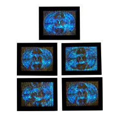 Spectacular Group of Butterfly Wing Mosaics