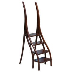 Four-Step Library Ladder by David N. Ebner