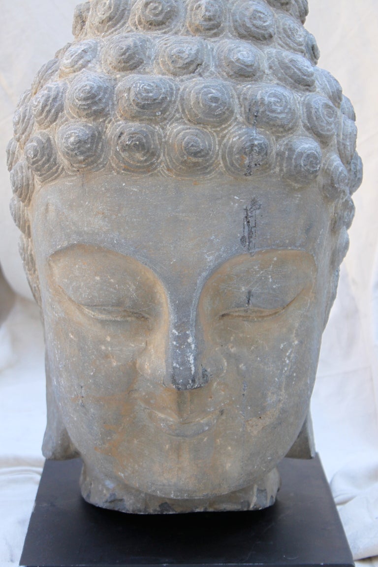 Monumental Early Stone Head of Buddha  In Good Condition In Los Angeles, CA