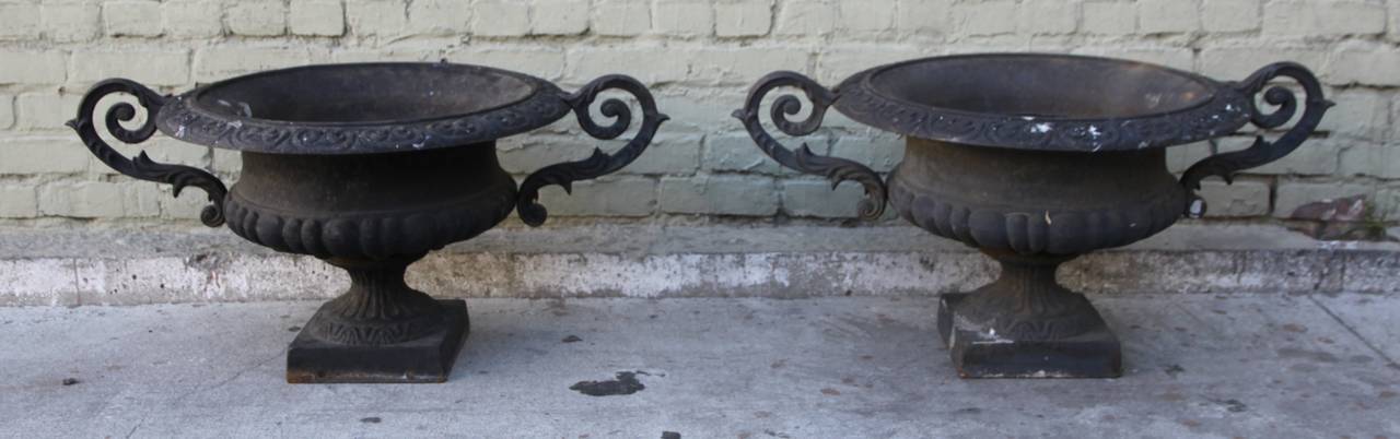 Pair of French cast iron planters with scrolled arms.