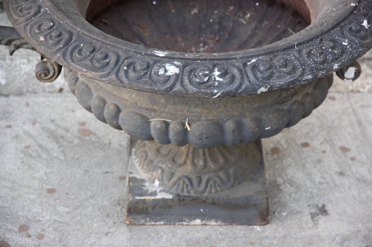 Pair of French Cast Iron Planter 2